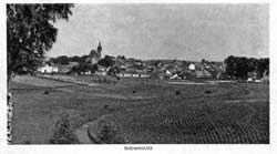 Schweinitz 